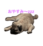 いくらの家族（個別スタンプ：1）