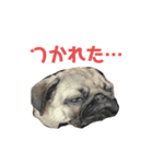いくらの家族（個別スタンプ：6）