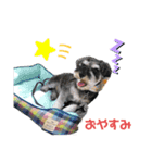 オズのオズによるオズの為のスタンプ（個別スタンプ：3）