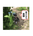 オズのオズによるオズの為のスタンプ（個別スタンプ：8）