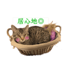 パールちゃんとシャアくん（個別スタンプ：4）