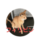 我が家の動物。（個別スタンプ：2）