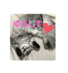 我が家の動物。（個別スタンプ：14）