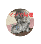 我が家の動物。（個別スタンプ：19）