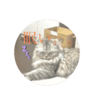 我が家の動物。（個別スタンプ：24）