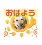 毎日らぶらどーる（個別スタンプ：6）