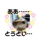 毎日らぶらどーる（個別スタンプ：16）