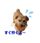 パティちゃんと可愛い仲間たち（個別スタンプ：13）