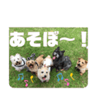 パティちゃんと可愛い仲間たち（個別スタンプ：19）