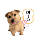 パティちゃんと可愛い仲間たち（個別スタンプ：20）
