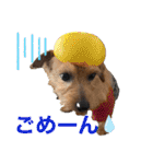 パティちゃんと可愛い仲間たち（個別スタンプ：28）