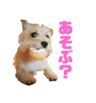 パティちゃんと可愛い仲間たち（個別スタンプ：30）