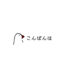 手書き文鳥（個別スタンプ：24）