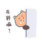 レッサーパンダパンダ（個別スタンプ：1）