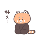 レッサーパンダパンダ（個別スタンプ：14）