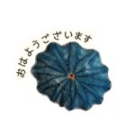 深谷泰の陶器 豆皿スタンプ（個別スタンプ：1）