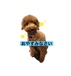 たけしのつぶやき（個別スタンプ：2）