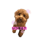 たけしのつぶやき（個別スタンプ：3）