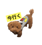 たけしのつぶやき（個別スタンプ：18）