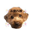 たけしのつぶやき（個別スタンプ：19）