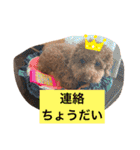 たけしのつぶやき（個別スタンプ：29）