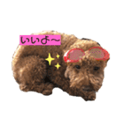 たけしのつぶやき（個別スタンプ：31）