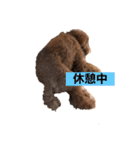 たけしのつぶやき（個別スタンプ：35）