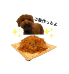 たけしのつぶやき（個別スタンプ：37）