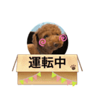 たけしのつぶやき（個別スタンプ：39）