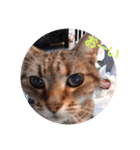 まいちゃんといつも一緒（個別スタンプ：5）