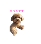 えーちゃんしか勝たん2（個別スタンプ：1）
