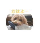 えーちゃんしか勝たん2（個別スタンプ：5）