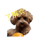 えーちゃんしか勝たん2（個別スタンプ：6）