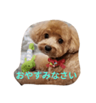 えーちゃんしか勝たん2（個別スタンプ：8）