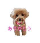 えーちゃんしか勝たん2（個別スタンプ：11）