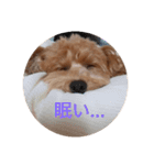えーちゃんしか勝たん2（個別スタンプ：14）