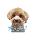 えーちゃんしか勝たん2（個別スタンプ：16）