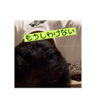 謝罪日記スタンプ（個別スタンプ：8）