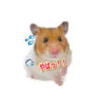 可愛いペット大集合♪  No1（個別スタンプ：9）