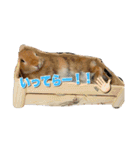可愛いペット大集合♪  No1（個別スタンプ：10）