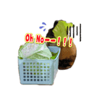 可愛いペット大集合♪  No1（個別スタンプ：11）