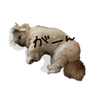 まるちゃんすたんぷ2‪‪‪‪☺︎‬（個別スタンプ：8）