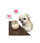 まるちゃんすたんぷ2‪‪‪‪☺︎‬（個別スタンプ：15）