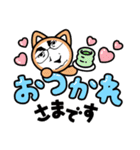 あさかっち2（個別スタンプ：4）