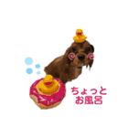 アヴィのスタンプ（個別スタンプ：4）