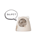ハムスターのすいちゃん（個別スタンプ：1）