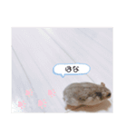 ハムスターのすいちゃん（個別スタンプ：15）
