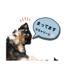 そうまくんのすたんぷ2（個別スタンプ：16）
