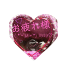 ♥フクモモLIFE♥（個別スタンプ：1）