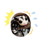 ♥フクモモLIFE♥（個別スタンプ：4）